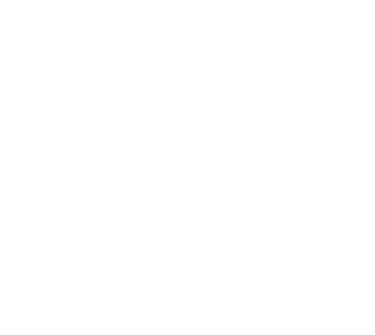 Dirâyet